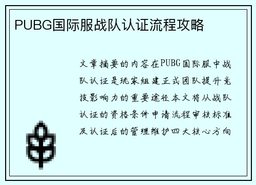 PUBG国际服战队认证流程攻略
